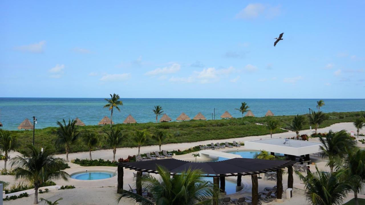 Playa, Selva, Cenotes, Ruinas, Marina Todo A 5 Km Lägenhet Telchac Puerto Exteriör bild